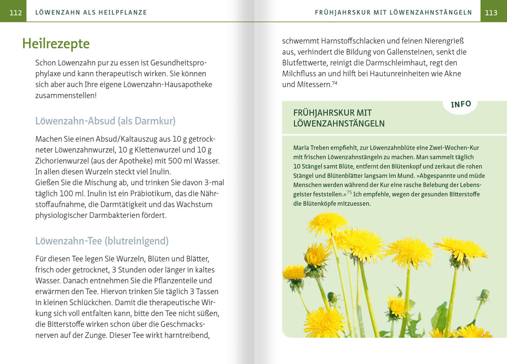 Weitere Ansicht: Löwenzahn - Wunderkraut für Resilienz und Lebenskraft. Kompakt-Ratgeber | Barbara Simonsohn