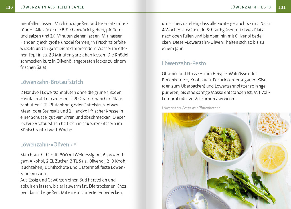 Weitere Ansicht: Löwenzahn - Wunderkraut für Resilienz und Lebenskraft. Kompakt-Ratgeber | Barbara Simonsohn