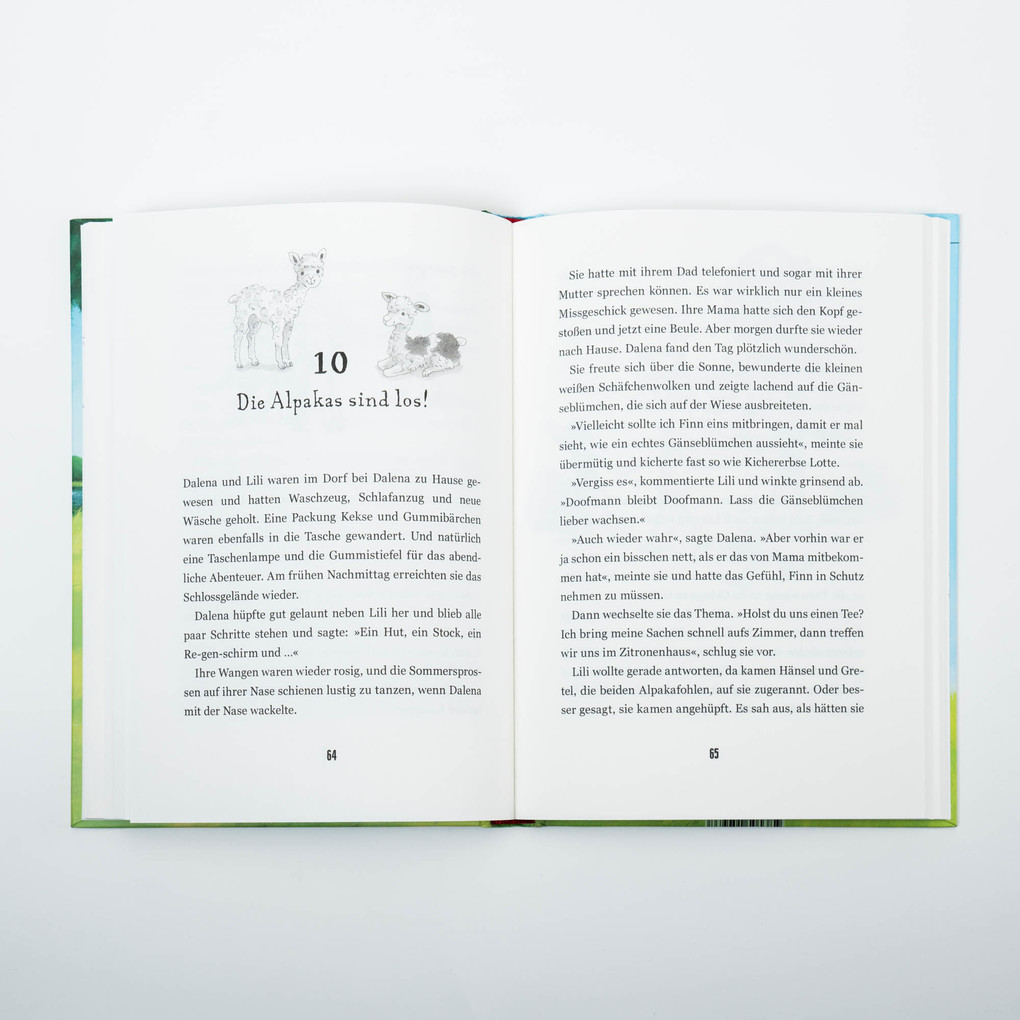 Weitere Ansicht: Internat Schloss Sommerberg - Fünf Pfoten retten Ferdinand Nuss | Susanne Oswald