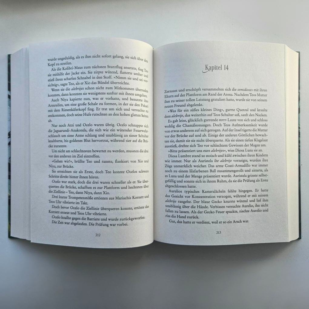 Weitere Ansicht: SOL. Das Spiel der Zehn | Aiden Thomas