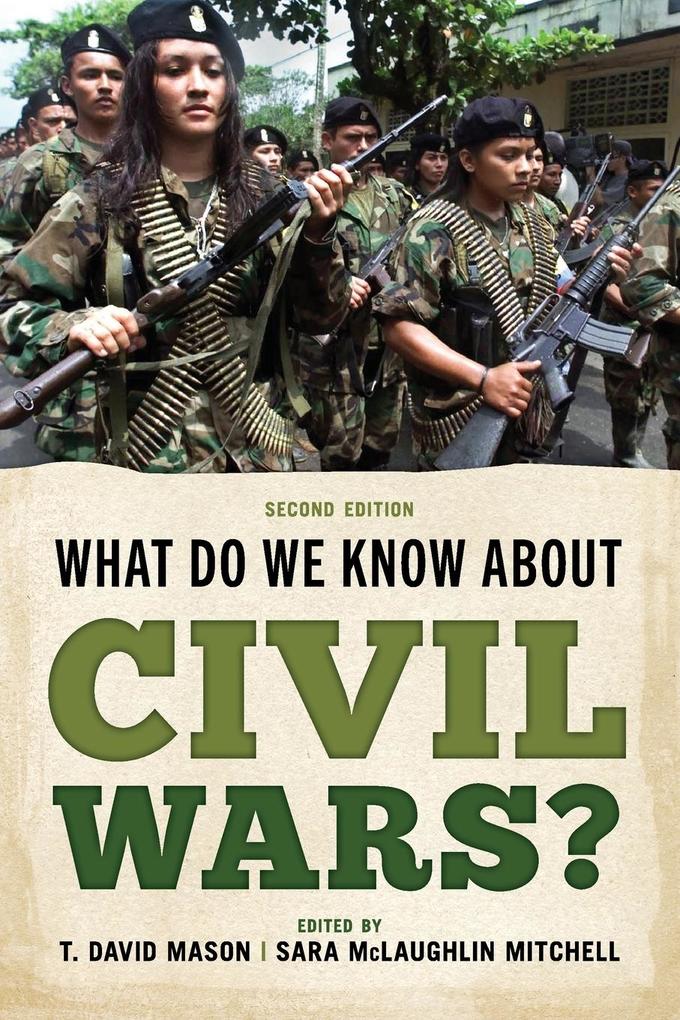 Produktbild: What Do We Know about Civil Wars?