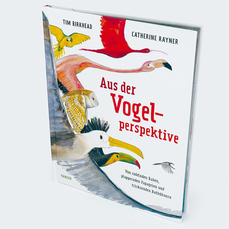 Weitere Ansicht: Aus der Vogelperspektive | Tim Birkhead, Catherine Rayner