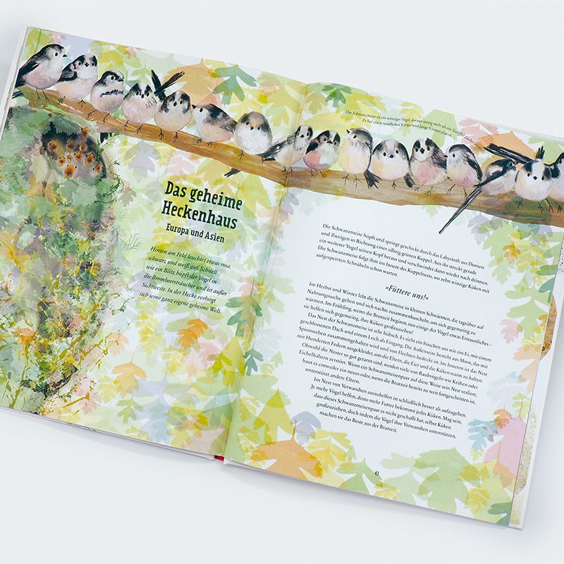 Weitere Ansicht: Aus der Vogelperspektive | Tim Birkhead, Catherine Rayner