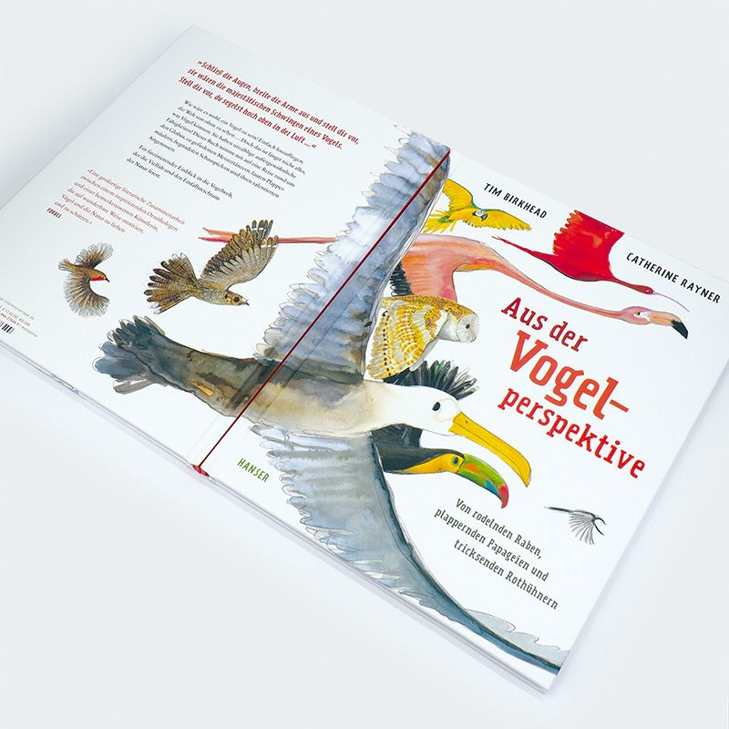 Weitere Ansicht: Aus der Vogelperspektive | Tim Birkhead, Catherine Rayner