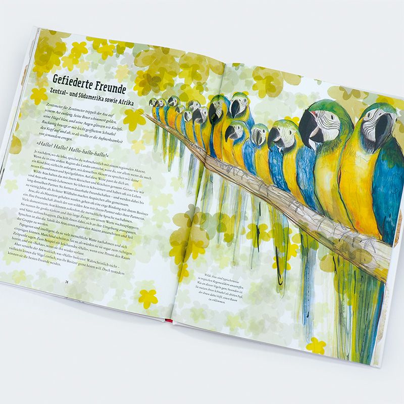 Weitere Ansicht: Aus der Vogelperspektive | Tim Birkhead, Catherine Rayner