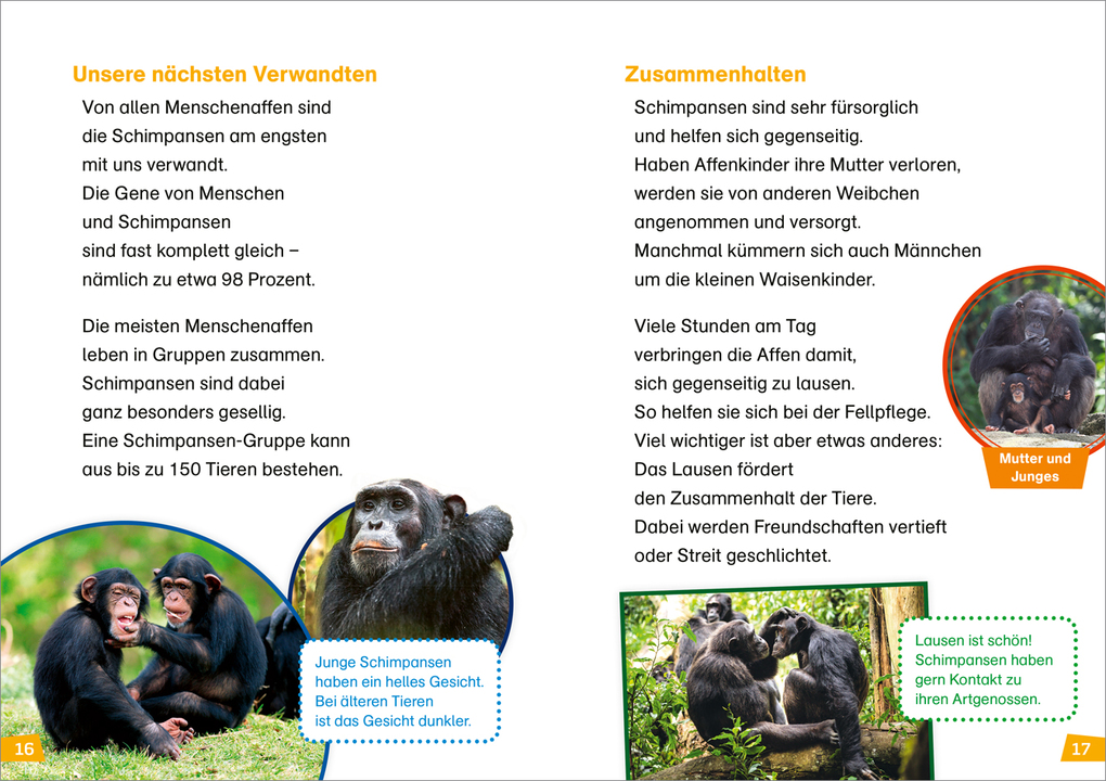 Weitere Ansicht: WAS IST WAS Erstes Lesen Band 22. Menschenaffen | Christina Braun