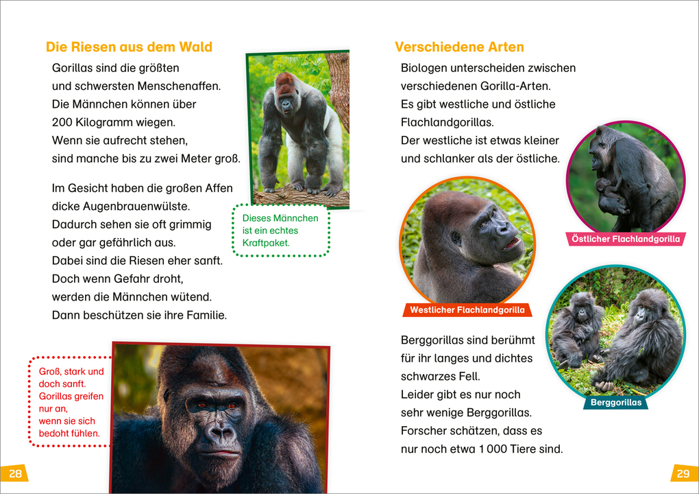 Weitere Ansicht: WAS IST WAS Erstes Lesen Band 22. Menschenaffen | Christina Braun