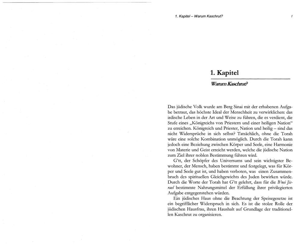 Weitere Ansicht: Koscher durch das Jahr | Shaul Wagschal