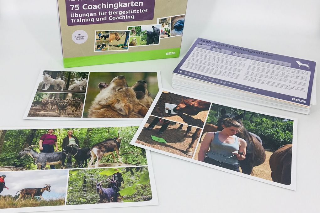 Weitere Ansicht: 75 Coachingkarten Übungen für tiergestütztes Training und Coaching | Daniela Landgraf, Verena Neuse