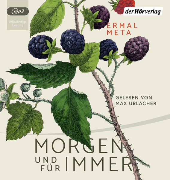 Produktbild: Morgen und für immer, 2 Audio-CD, 2 MP3 | Ermal Meta