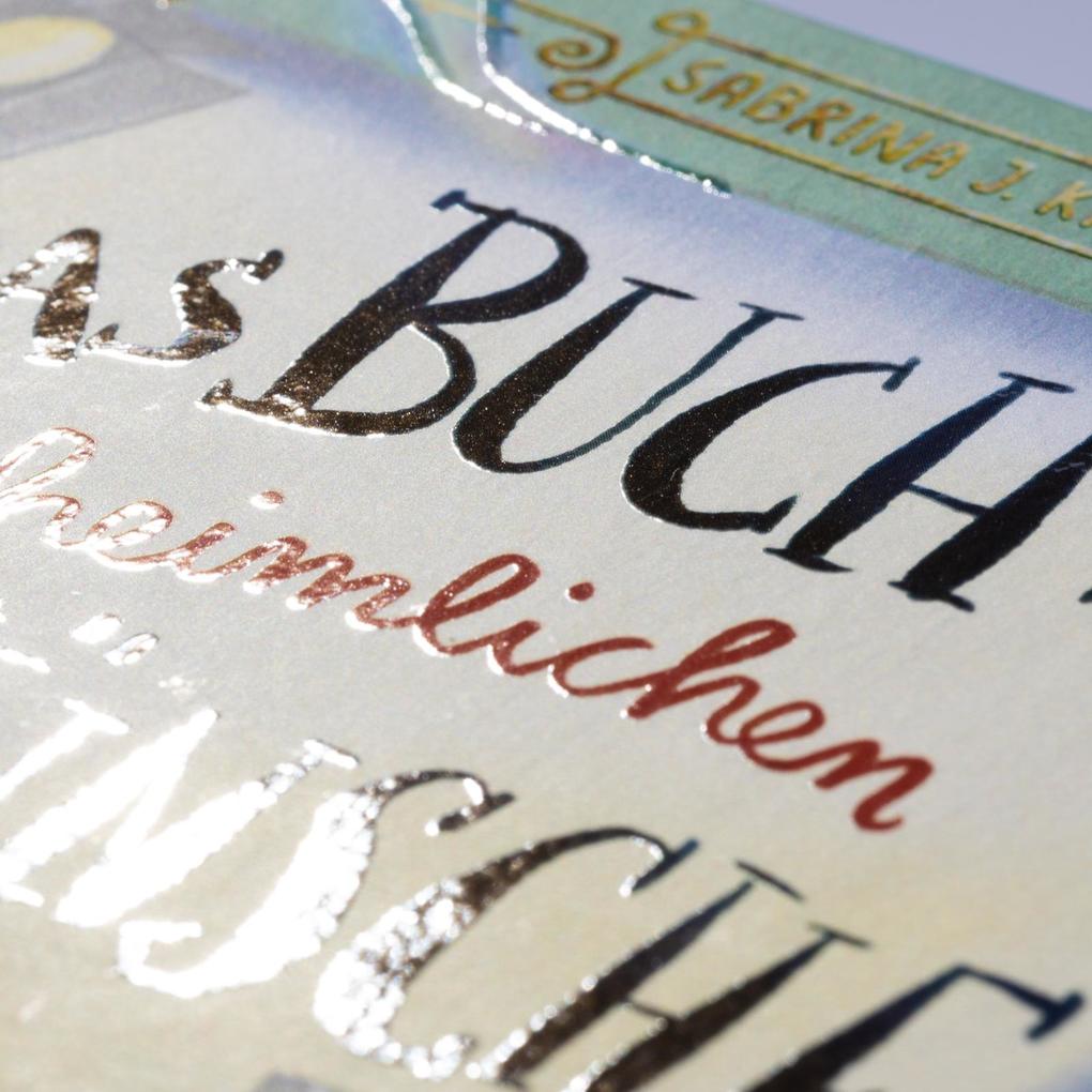 Weitere Ansicht: Das Buch der (un)heimlichen Wünsche 3: Filmstar gesucht | Sabrina J. Kirschner