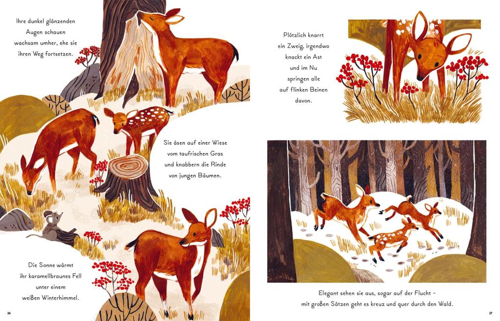 Weitere Ansicht: Kleine und große Wunder der Natur | Gabby Dawnay