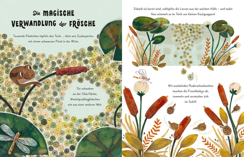 Weitere Ansicht: Kleine und große Wunder der Natur | Gabby Dawnay