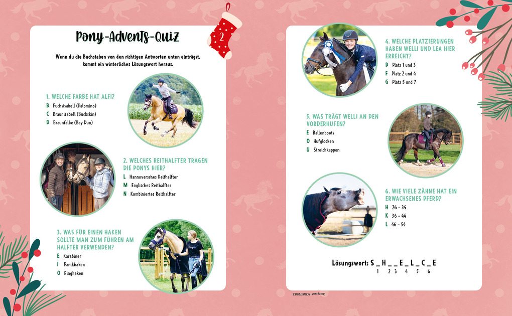 Weitere Ansicht: # ponylife - Mein Adventskalenderbuch - Von Lia und Lea | Lea Schirdewahn, Lia Beckmann