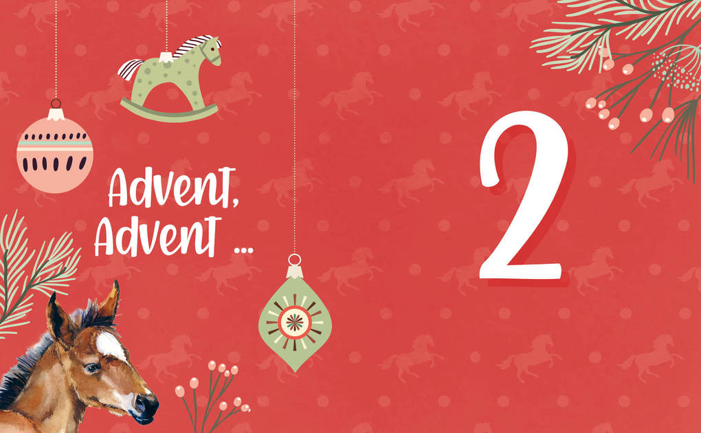 Weitere Ansicht: # ponylife - Mein Adventskalenderbuch - Von Lia und Lea | Lea Schirdewahn, Lia Beckmann