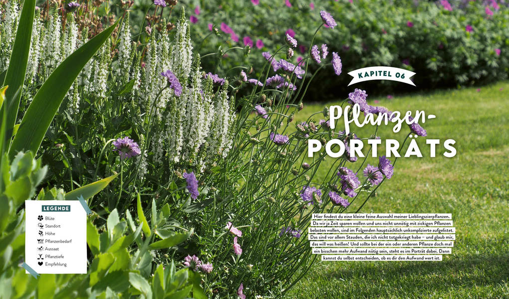 Weitere Ansicht: Keine Zeit zu Gärtnern - Blumenparadies mit wenig Aufwand | Sonja Di Leo