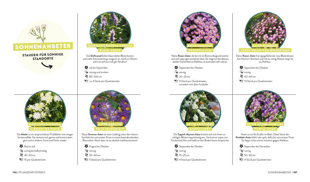 Weitere Ansicht: Keine Zeit zu Gärtnern - Blumenparadies mit wenig Aufwand | Sonja Di Leo