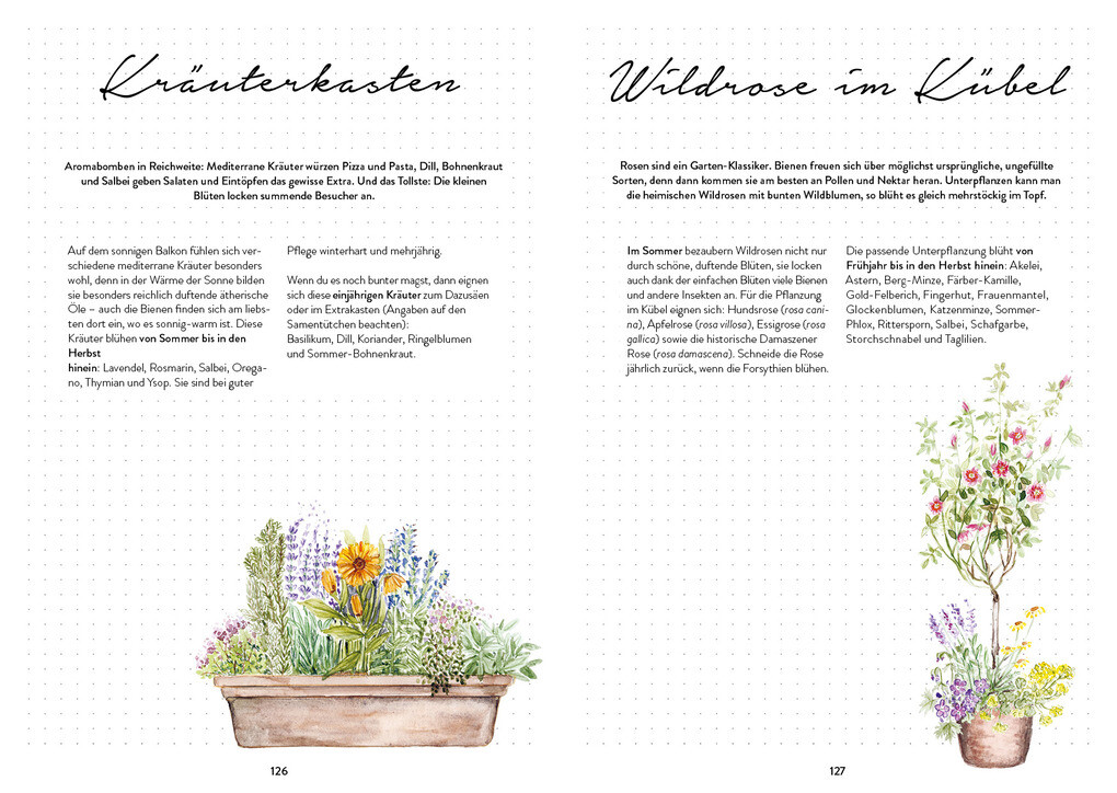 Weitere Ansicht: Mein Bienengarten - Das illustrierte Gartenbuch | Bärbel Oftring