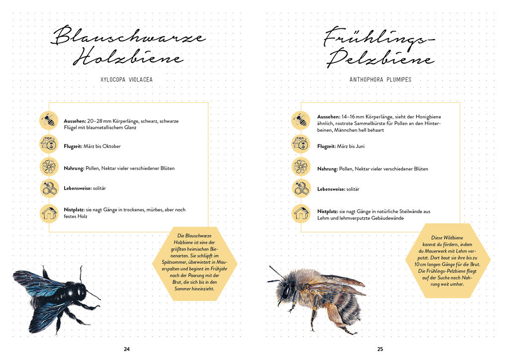 Weitere Ansicht: Mein Bienengarten - Das illustrierte Gartenbuch | Bärbel Oftring