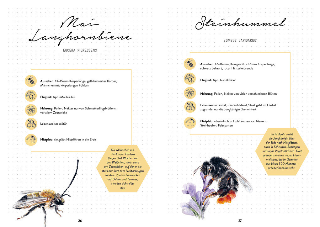 Weitere Ansicht: Mein Bienengarten - Das illustrierte Gartenbuch | Bärbel Oftring