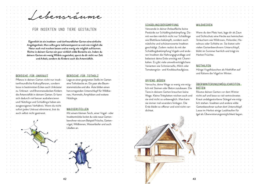 Weitere Ansicht: Mein Bienengarten - Das illustrierte Gartenbuch | Bärbel Oftring
