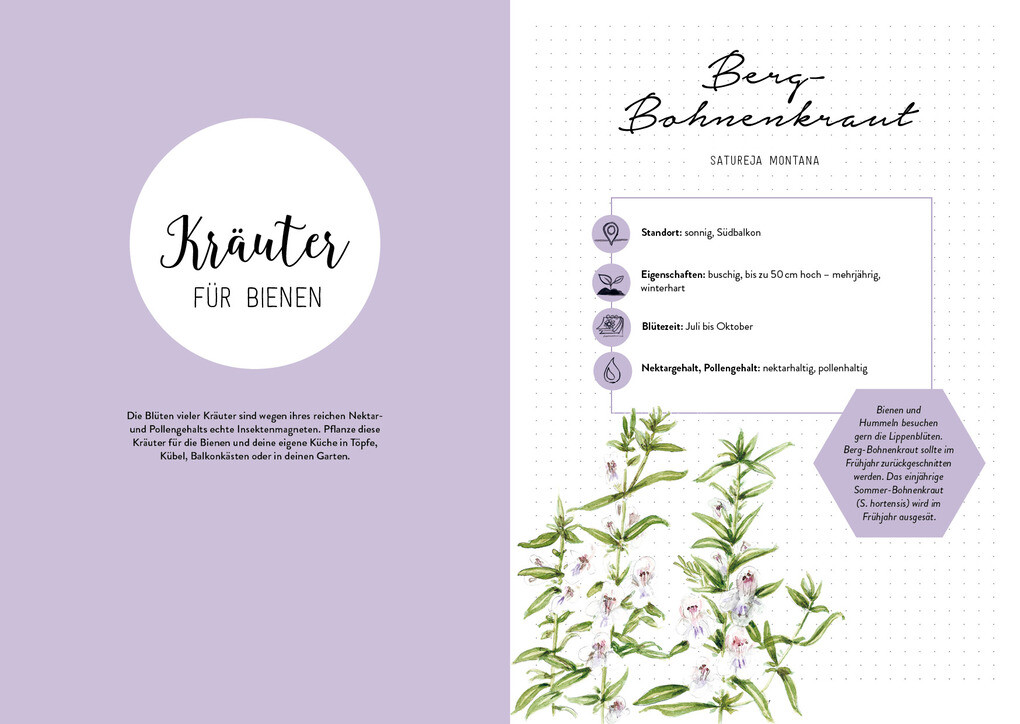 Weitere Ansicht: Mein Bienengarten - Das illustrierte Gartenbuch | Bärbel Oftring