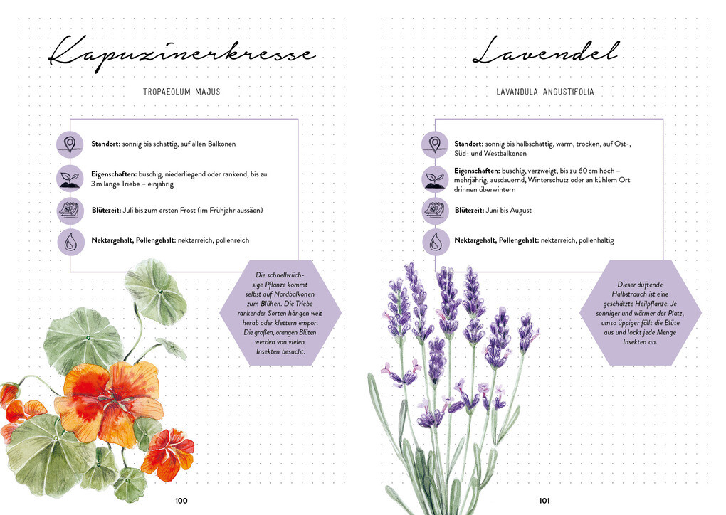 Weitere Ansicht: Mein Bienengarten - Das illustrierte Gartenbuch | Bärbel Oftring