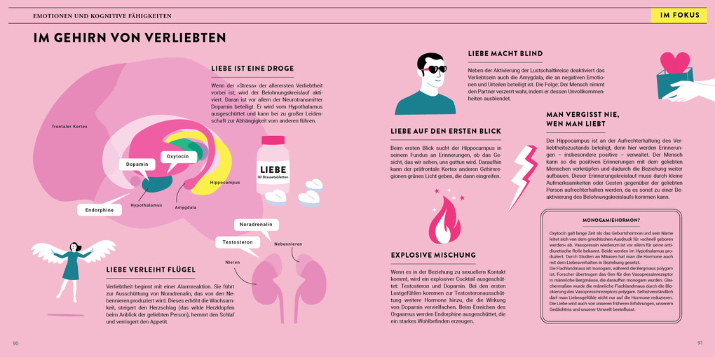 Weitere Ansicht: Eine Reise durch unser Gehirn | Steven Laureys