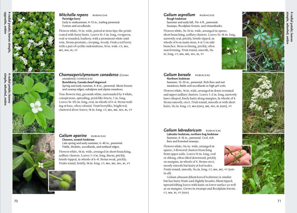 Weitere Ansicht: Wildflowers of the Pacific Northwest | Phyllis Gustafson, Mark Turner