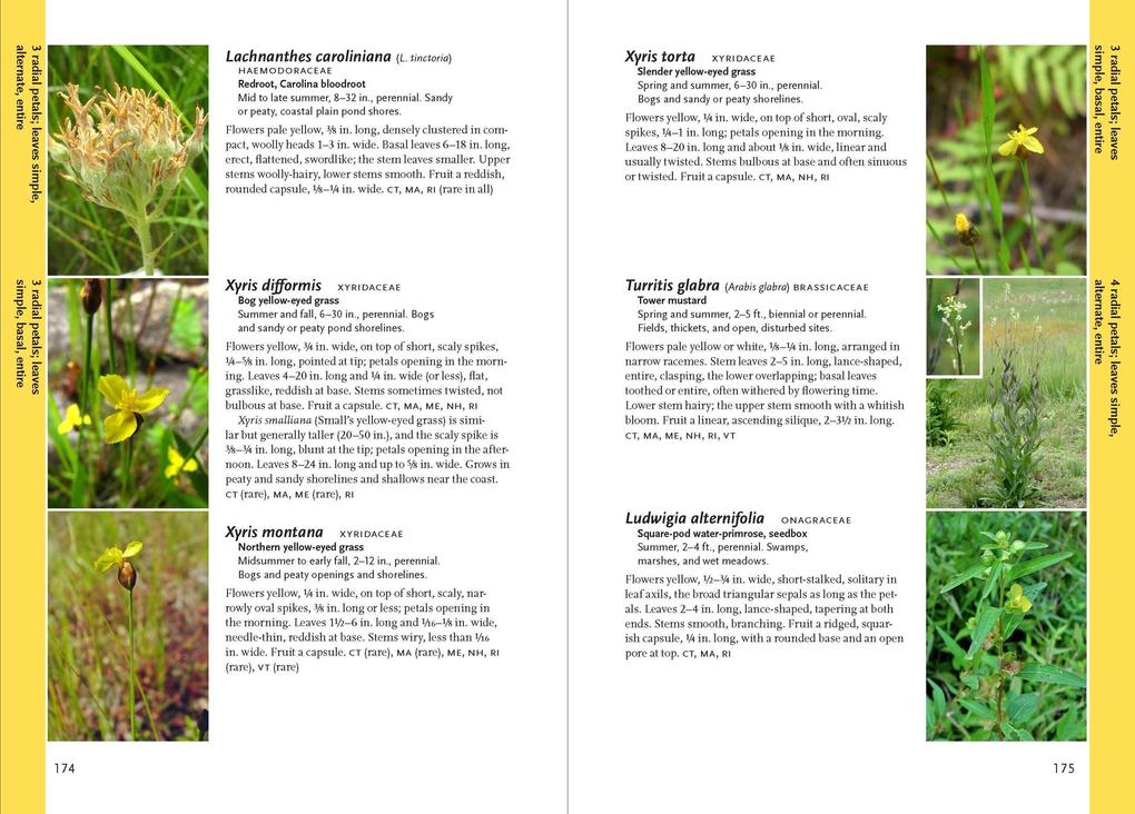 Weitere Ansicht: Wildflowers of the Pacific Northwest | Phyllis Gustafson, Mark Turner