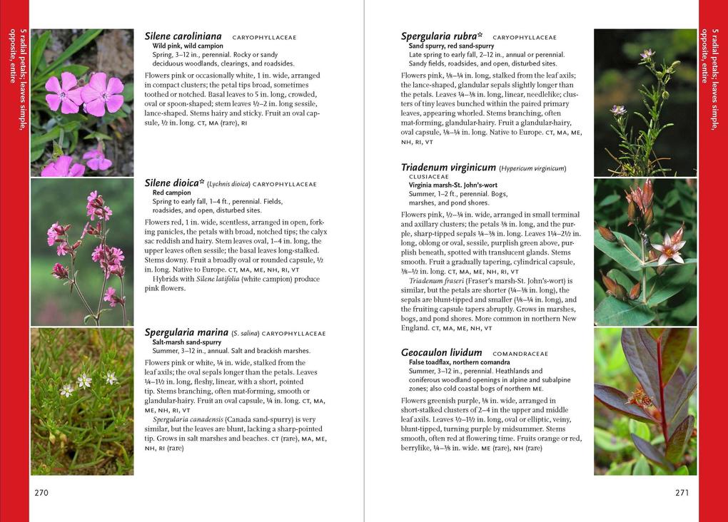 Weitere Ansicht: Wildflowers of the Pacific Northwest | Phyllis Gustafson, Mark Turner