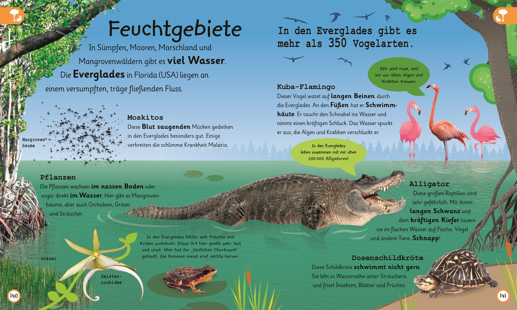 Weitere Ansicht: Wissen für Vorschulkids. Was weißt du über die Erde? | Andrea Mills, Ben Hubbard