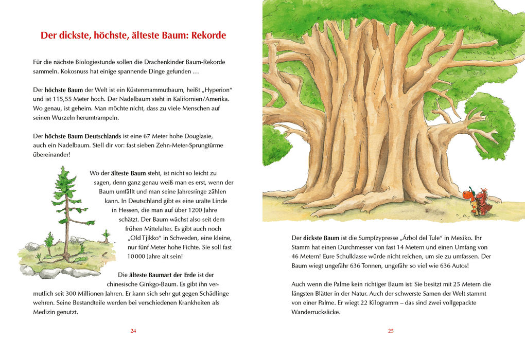 Weitere Ansicht: Der kleine Drache Kokosnuss - Mein erstes Wald-Buch | Ingo Siegner