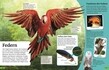 Weitere Ansicht: Superchecker! Vögel | Ben Hoare