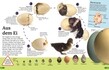 Weitere Ansicht: Superchecker! Vögel | Ben Hoare