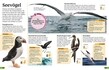 Weitere Ansicht: Superchecker! Vögel | Ben Hoare