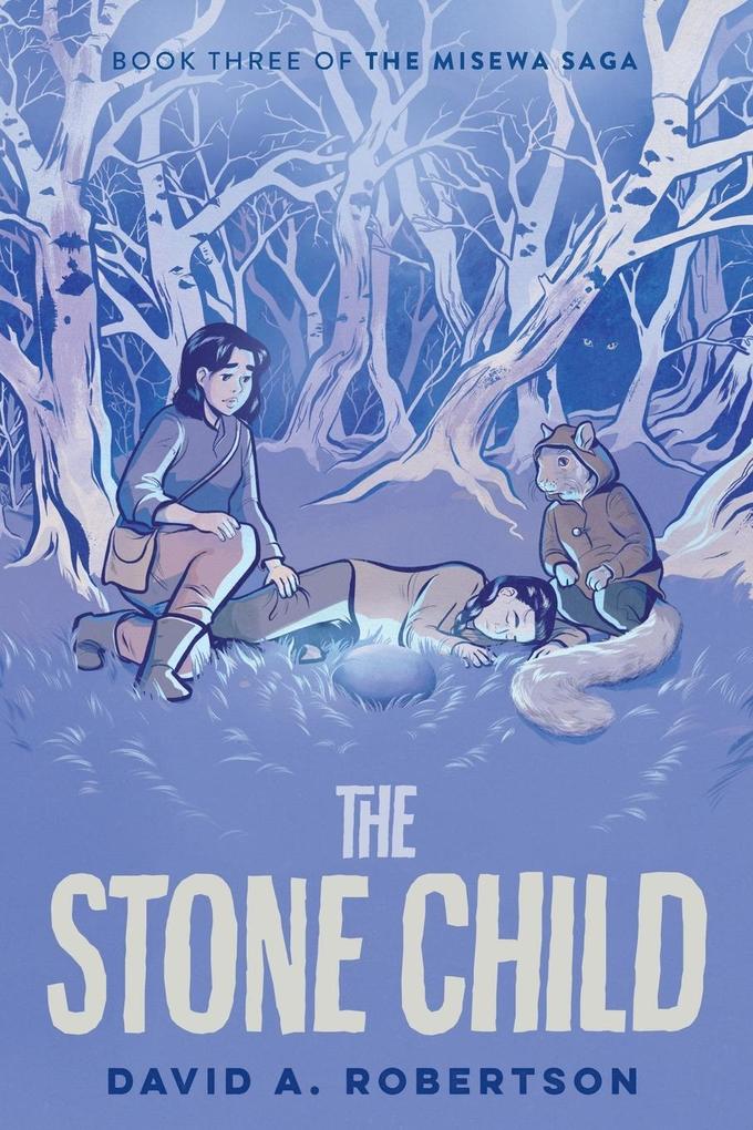 Produktbild: The Stone Child | David A. Robertson