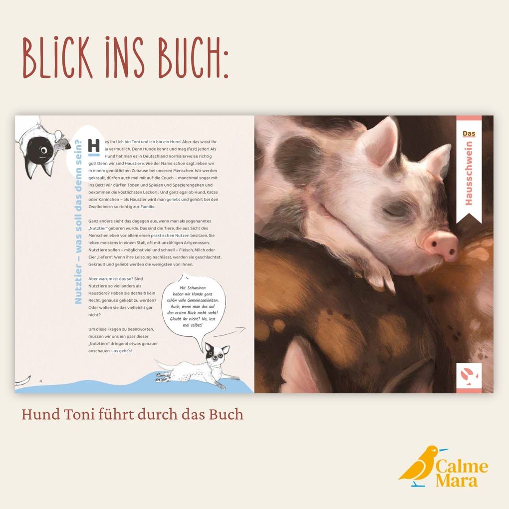 Weitere Ansicht: Schlau wie Sau | Judith Allert