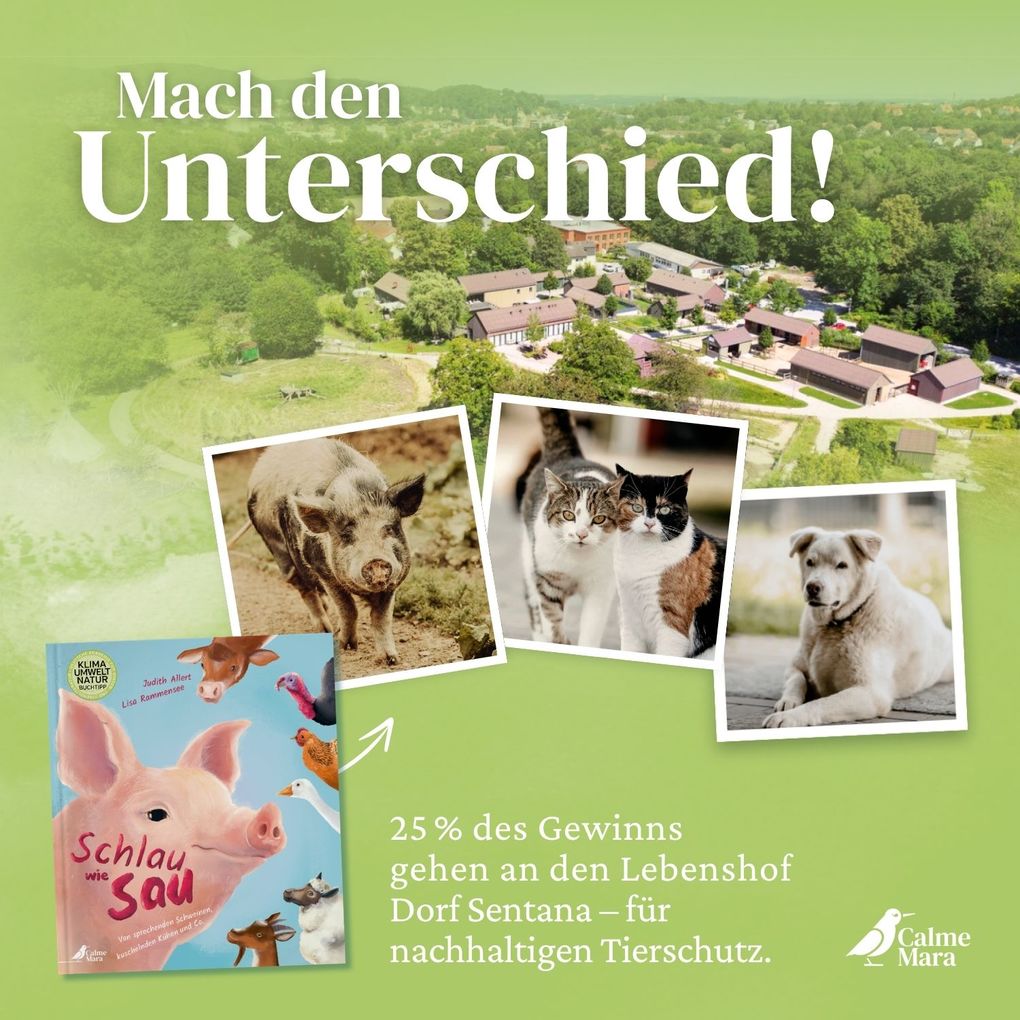 Weitere Ansicht: Schlau wie Sau | Judith Allert