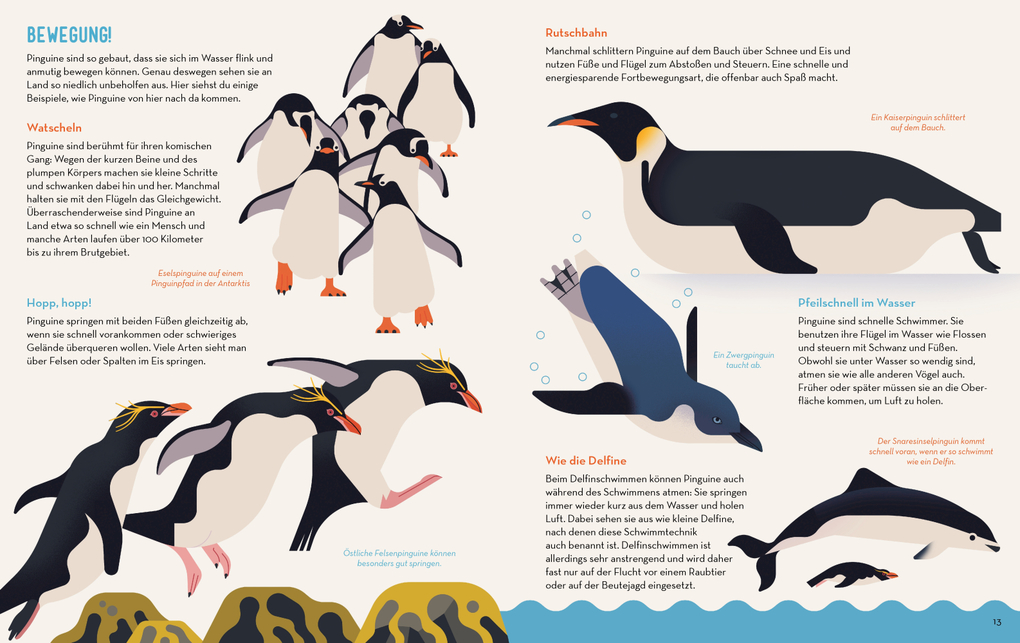 Weitere Ansicht: Die große Pinguinparade | Owen Davey