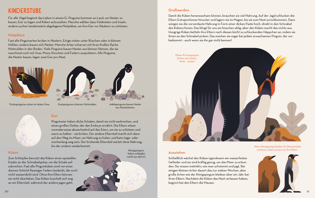 Weitere Ansicht: Die große Pinguinparade | Owen Davey