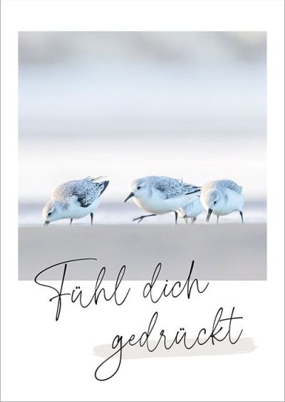 Weitere Ansicht: Unendlich geliebt - Postkartenset