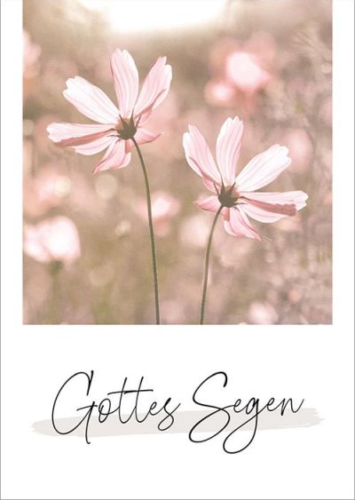 Weitere Ansicht: Unendlich geliebt - Postkartenset