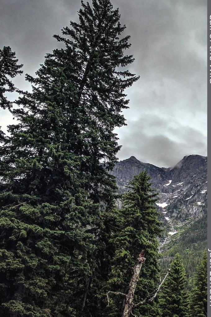 Weitere Ansicht: Call of the Wild | Jack London