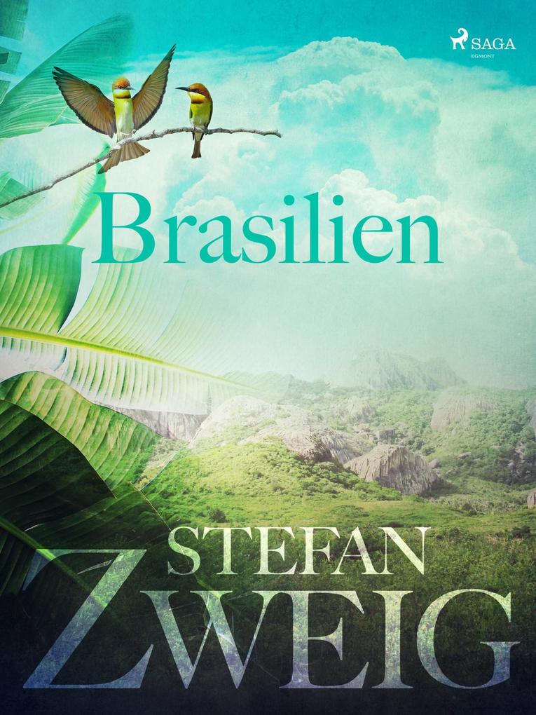 Produktbild: Brasilien | Stefan Zweig