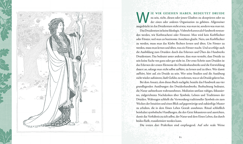 Weitere Ansicht: Druiden | JOHN MICHAEL GREER