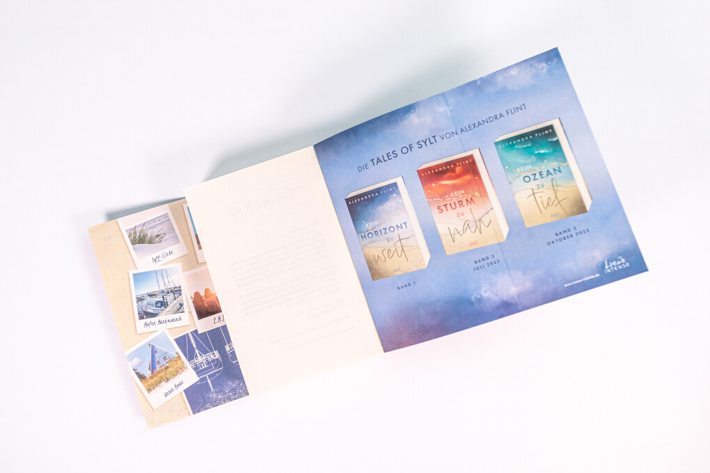 Weitere Ansicht: Kein Horizont zu weit (Tales of Sylt, Band 1) | Alexandra Flint