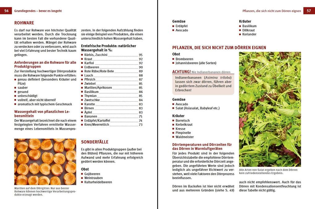 Weitere Ansicht: Dörren & Trocknen | Wolfgang Zemanek
