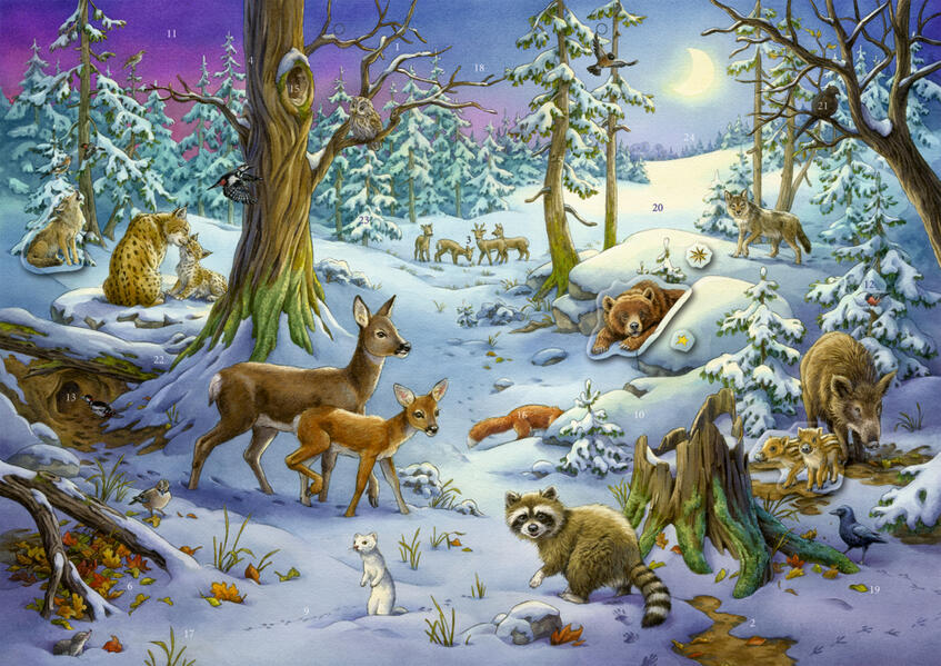Produktbild: Coppenrath - Tiere im Winterwald, Sticker-Adventskalender