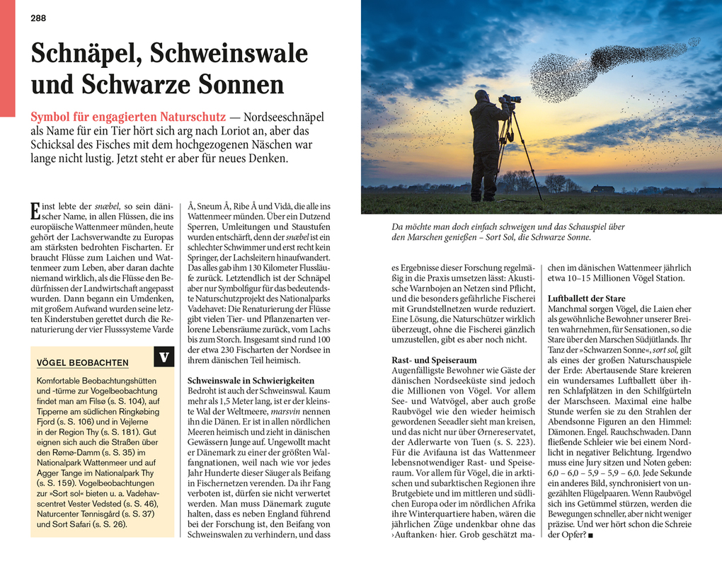 Weitere Ansicht: DUMONT Reise-Taschenbuch Reiseführer Dänemark Nordseeküste | Hans Klüche